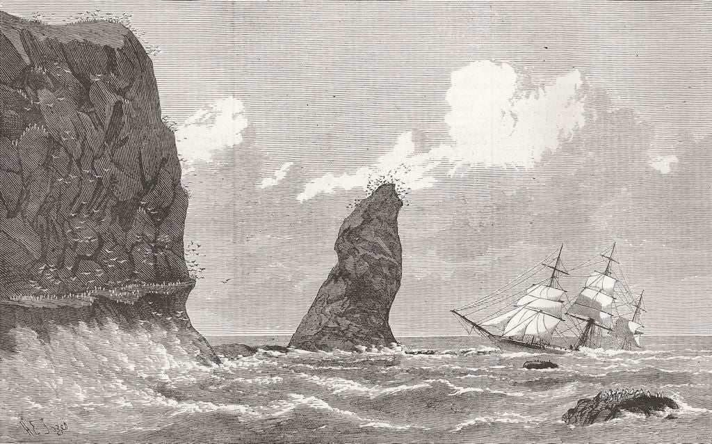 INDIAN OCEAN. Strathmore, Crozet Islands 1876 old antique print picture
